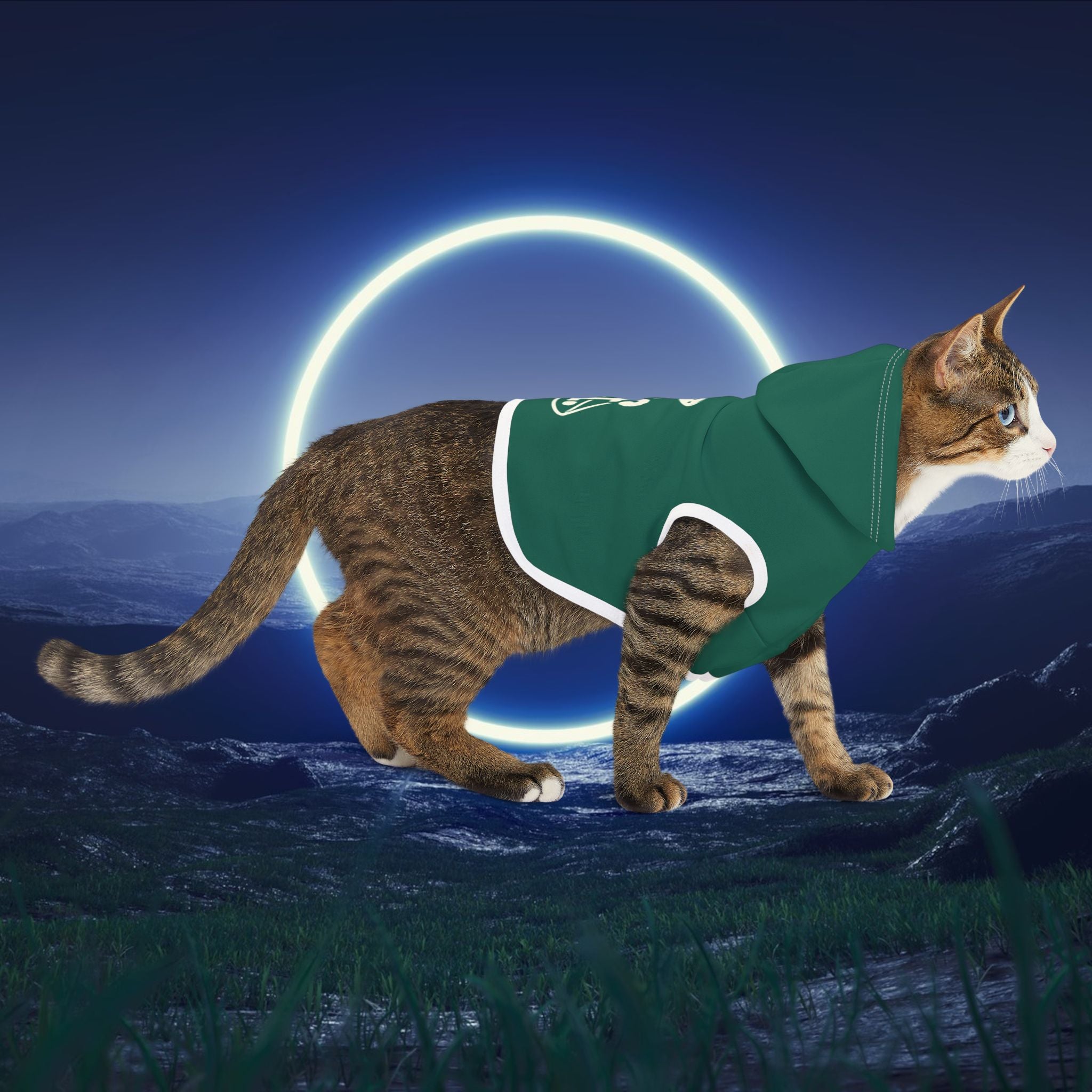 Pet Hoodie for Space-Loving Pets