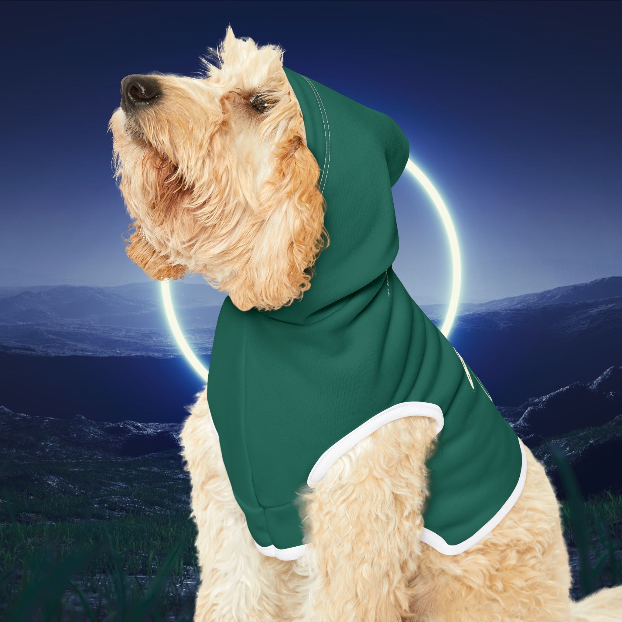 Pet Hoodie for Space-Loving Pets