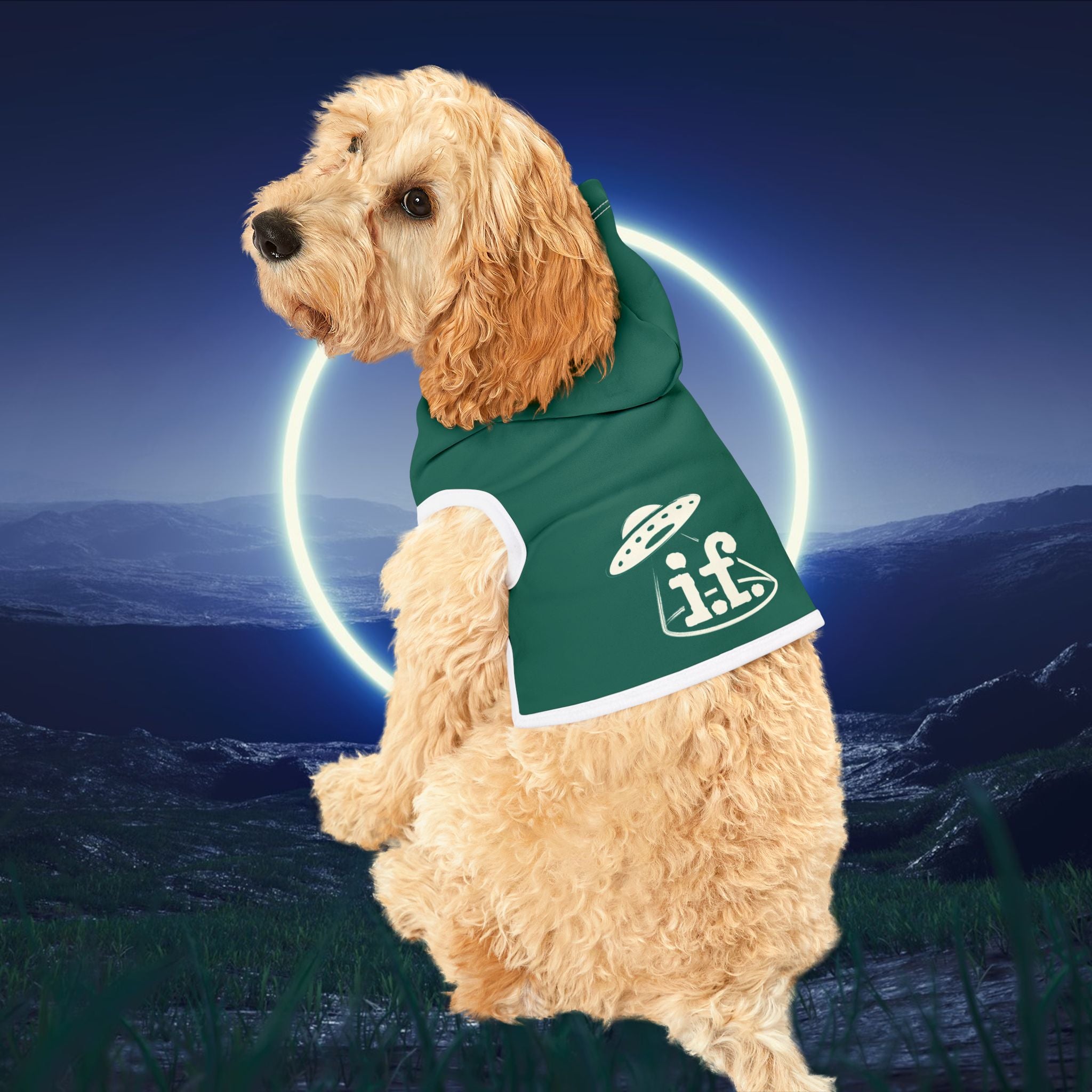 Pet Hoodie for Space-Loving Pets