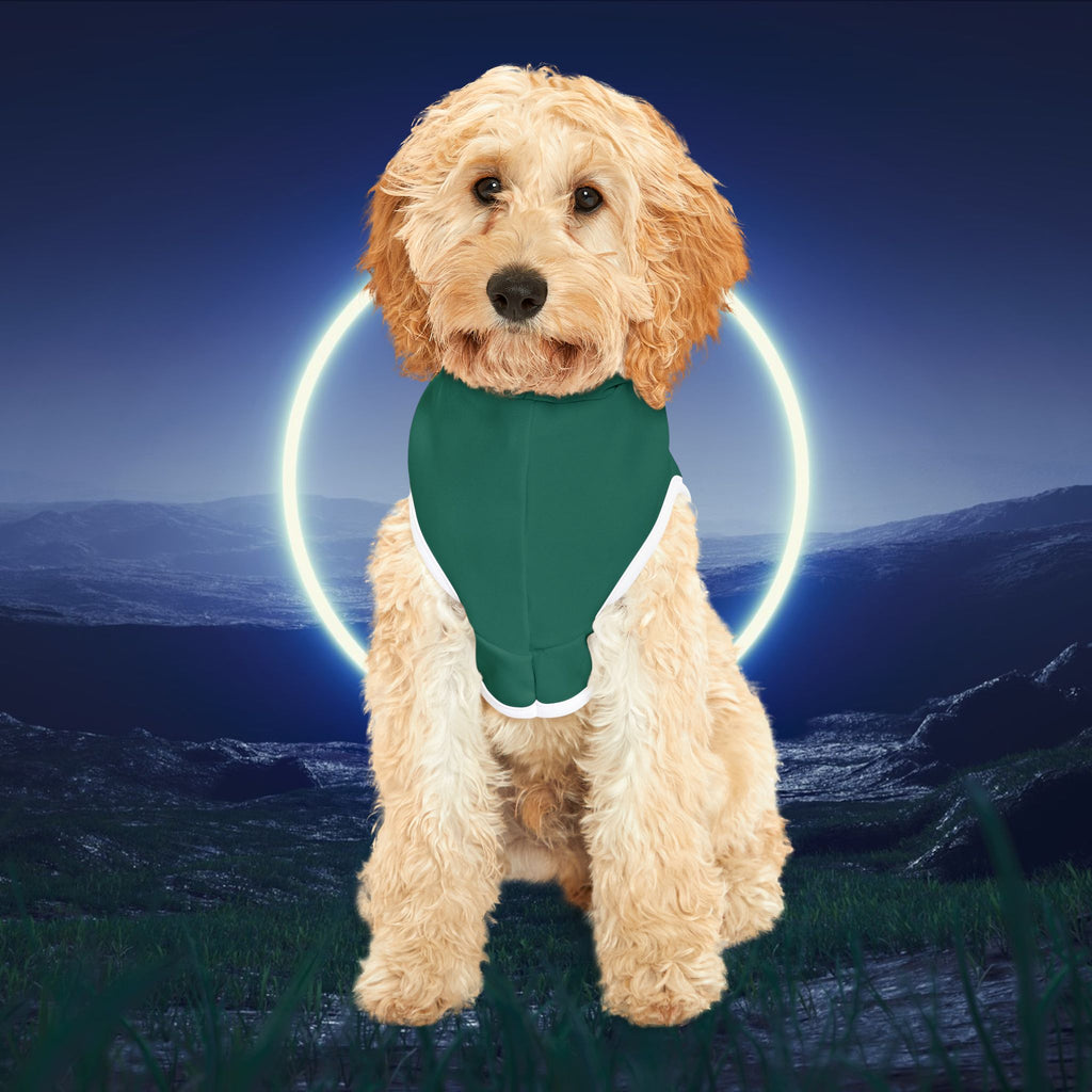Pet Hoodie for Space-Loving Pets