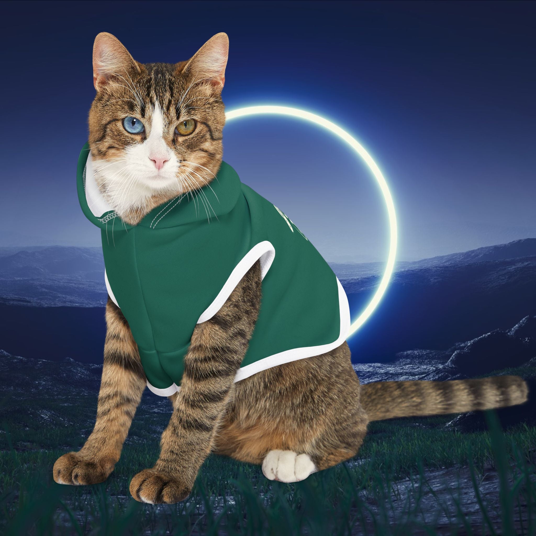 Pet Hoodie for Space-Loving Pets